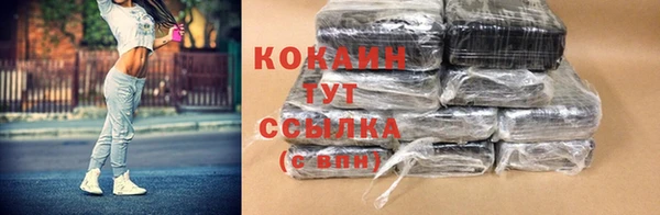 дживик Бронницы