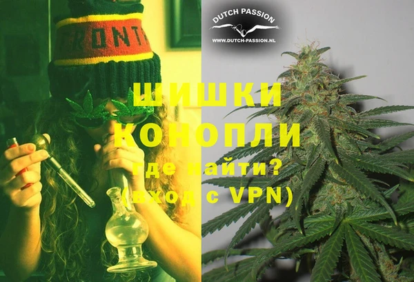 PSILOCYBIN Бородино