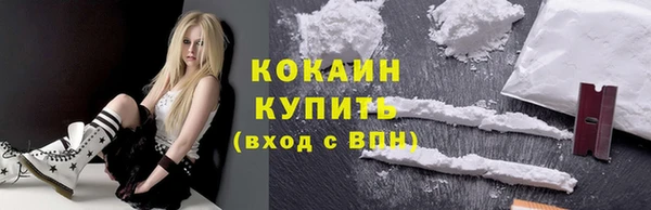 PSILOCYBIN Бородино