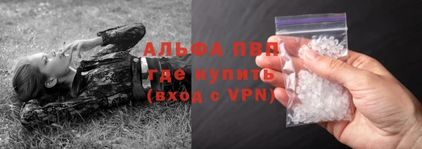 PSILOCYBIN Бородино