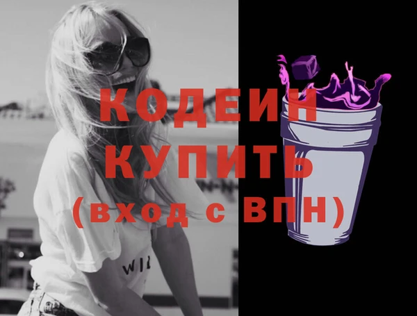 дживик Бронницы