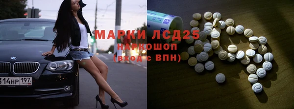 PSILOCYBIN Бородино