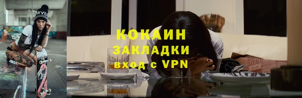 PSILOCYBIN Бородино