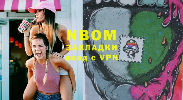 PSILOCYBIN Бородино