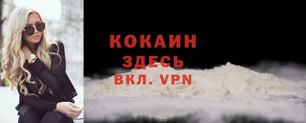 дживик Бронницы