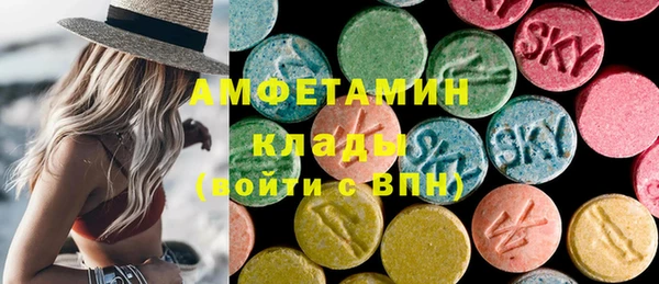 PSILOCYBIN Бородино