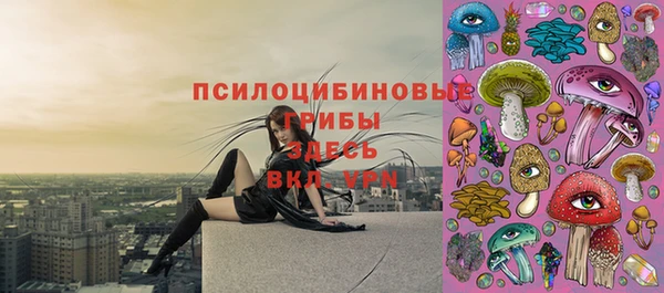 дживик Бронницы