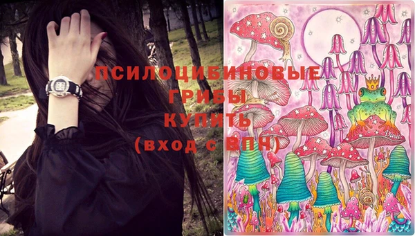 PSILOCYBIN Бородино