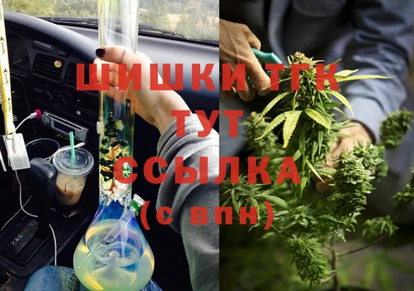 дживик Бронницы