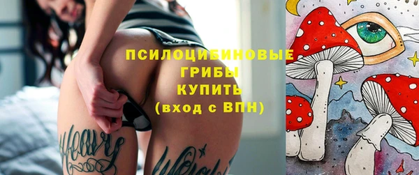 дживик Бронницы