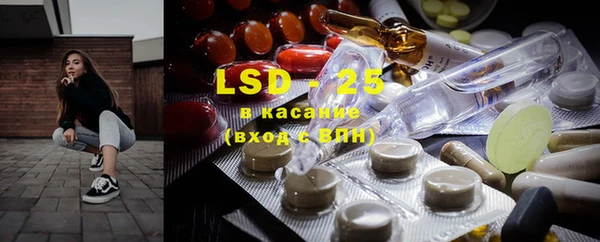 PSILOCYBIN Бородино