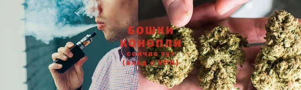 дживик Бронницы